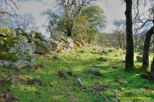 Schaeffer Ranch Stone Line