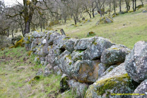 Schaeffer Ranch Stone Line, south section. 