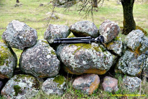 Schaeffer Ranch Stone Line, south section. Center stone weighs 1,500 to 2,000 lbs.