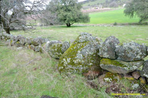 Schaeffer Ranch Stone Line