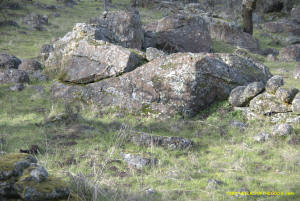 Schaeffer Ranch Stone Line