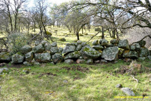 Schaeffer Ranch Stone Line