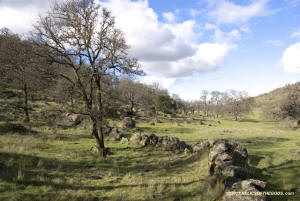 Schaeffer Ranch Stone Line