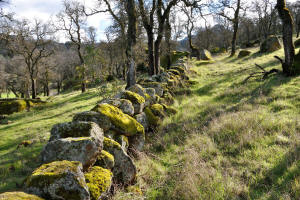 Schaeffer Ranch Stone Line