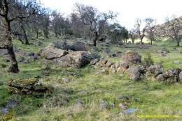 Schaffer Ranch stone line in the Sutter Buttes