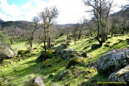 Schaffer Ranch stone line in the Sutter Buttes