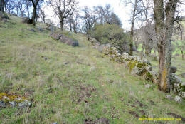 Schaffer Ranch stone line in the Sutter Buttes