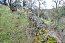 Schaffer Ranch stone line in the Sutter Buttes