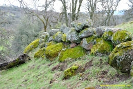 Schaffer Ranch stone line in the Sutter Buttes