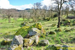 Schaffer Ranch stone line in the Sutter Buttes