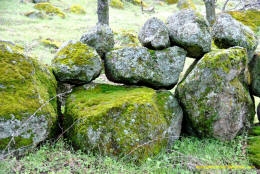 Schaffer Ranch stone line in the Sutter Buttes