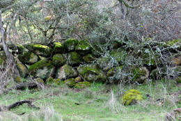 Schaffer Ranch stone line in the Sutter Buttes