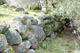 Schaffer Ranch stone line in the Sutter Buttes