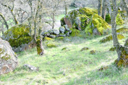 Schaffer Ranch stone line in the Sutter Buttes