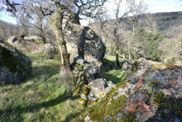 Schaffer Ranch stone line in the Sutter Buttes