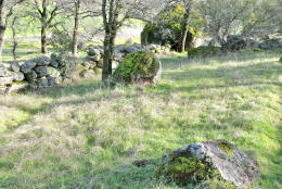 Schaffer Ranch stone line in the Sutter Buttes