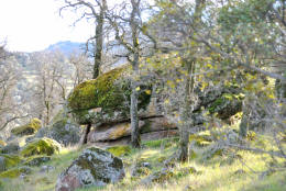 Schaffer Ranch stone line in the Sutter Buttes