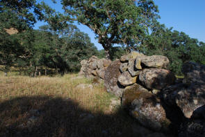 Sutter Buttes Stone line