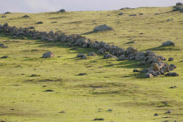 Stone Lines in the Sutter Buttes