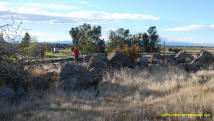 Mikey on a West Butte Rd stone line.