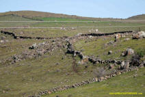 Stone Lines in the Sutter Buttes