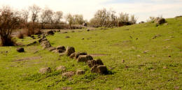 Stone Lines in the Sutter Buttes