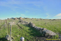 Sutter Buttes Stone Lines