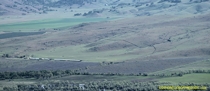 Sutter Buttes Stone Lines