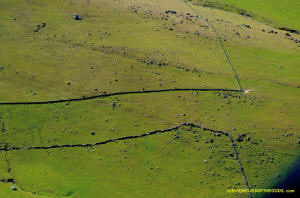 Sutter Buttes Aerial