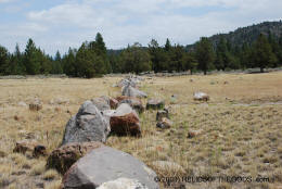Stone Lines in the Shasta Valley