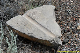 Stone Lines in the Shasta Valley