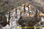 Feodosian museum of Antiquities from Feodosia (Crimea)