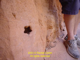 ZION NATL PARK  - Rachel Carter